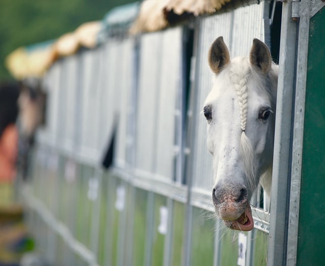 'My Devon' photos wanted for new county show calendar