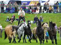 Equestrian Theatre at the 2026 Devon County Show
