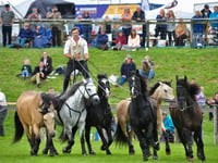 Equestrian Theatre at the 2026 Devon County Show
