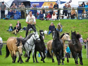 Equestrian Theatre at the 2026 Devon County Show
