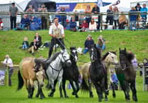 Equestrian Theatre at the 2026 Devon County Show