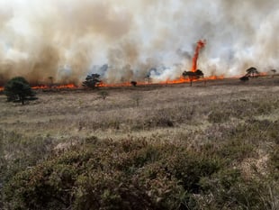 Farmland wildfire warning