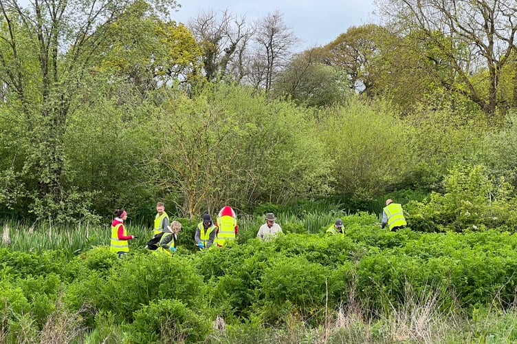 Ernest Jackson volunteers helping with the Spring Makeover at Sandford Millennium Green.