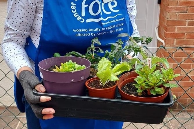 Ann Thomson with some of the plants for sale.