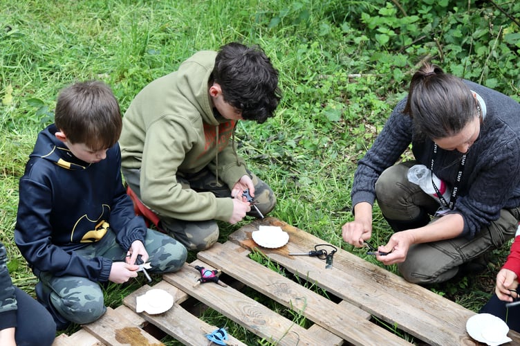 Using fire steels to light fires