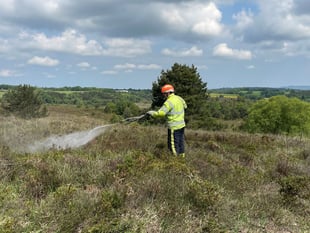 How you can help prevent wildfires this summer 