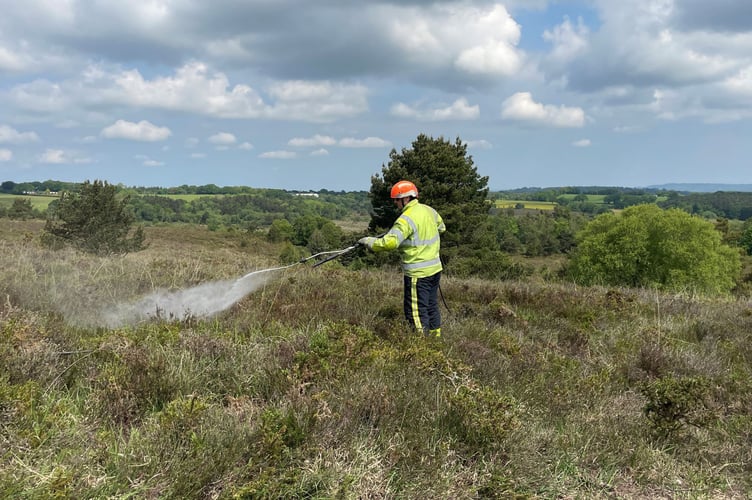 There were almost 1,000 outdoor fires across Devon and Somerset in 2023