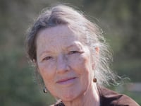 Parliament needs more Greens