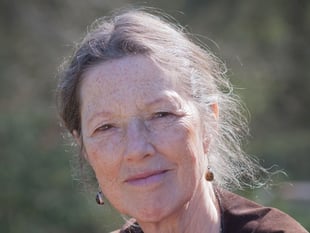 Parliament needs more Greens