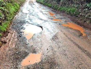 Potholes: Devon Highways and councillors should be held to account
