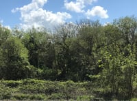 ‘Wood fair’ coming up in North Tawton
