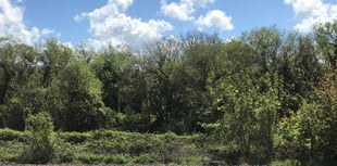 ‘Wood fair’ coming up in North Tawton