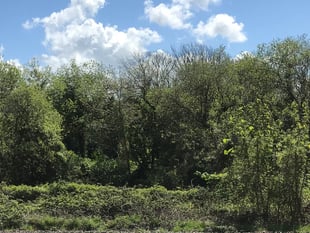 ‘Wood fair’ coming up in North Tawton
