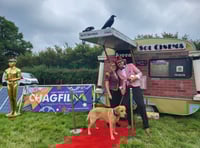 Chagford Film Festival set to expand for 2024