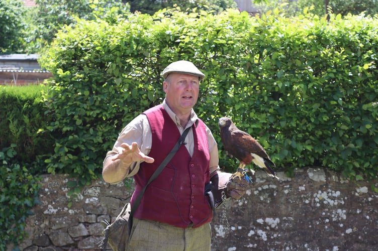 David Buncle of Westcountry Falconry with Harris Hawk
