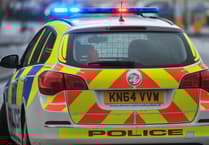 Dozens of domestic abuse suspects arrested in day of action