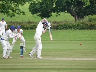 Tolchards Devon Cricket League weekend preview 29/6