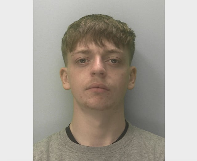 Skate park drug dealer jailed
