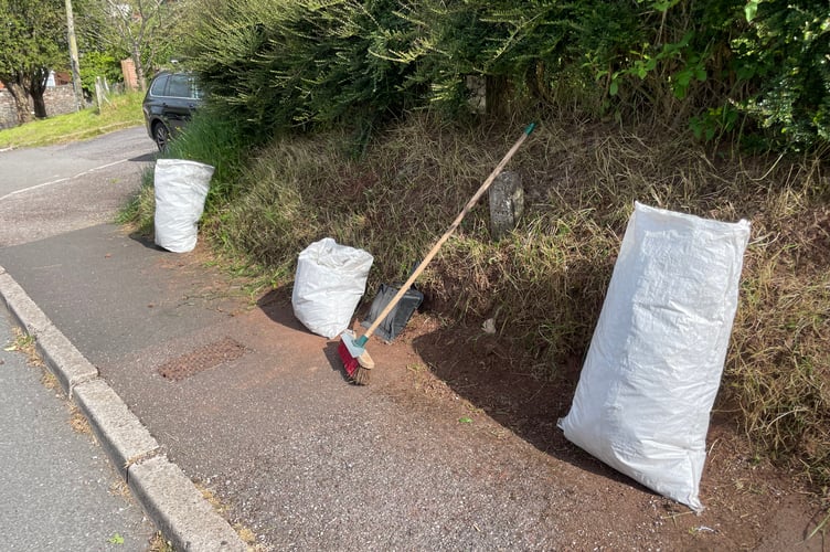 A tidied area in Spruce Park, Crediton.  AQ 5251
