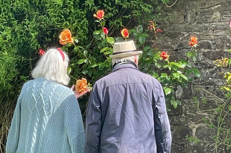Admiring roses in the garden.  AQ 5316
