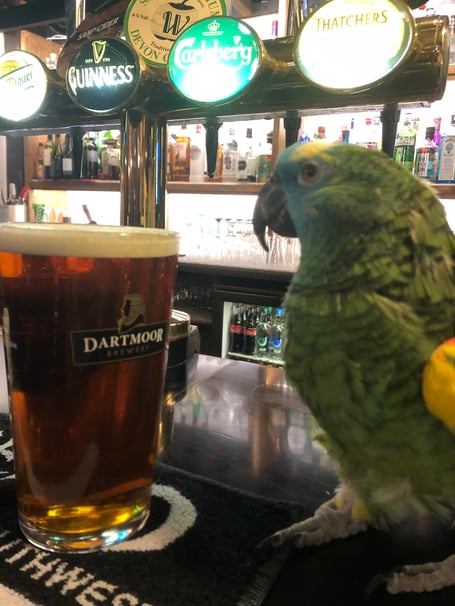 Captain looks forward to welcoming customers during her birthday weekend.
