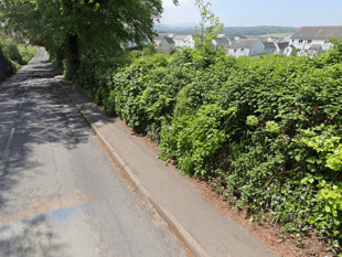 North Tawton petition launched for street lighting to improve safety
