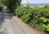 North Tawton residents question safety of new footpath