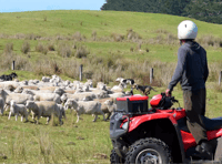 Police warn of rural thefts