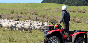 Police warn of rural thefts