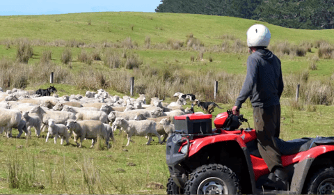 Police warn of rural thefts