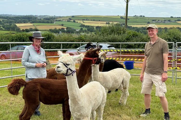 Claire Carpenter and Ian Taylor are pictured with alpacas which live in the village. AQ 6258