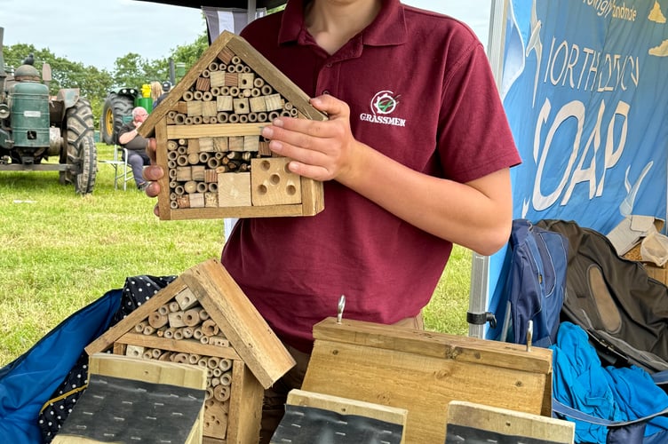 Tom Sanders makes bug hotels and other items and these were for sale. AQ 6294