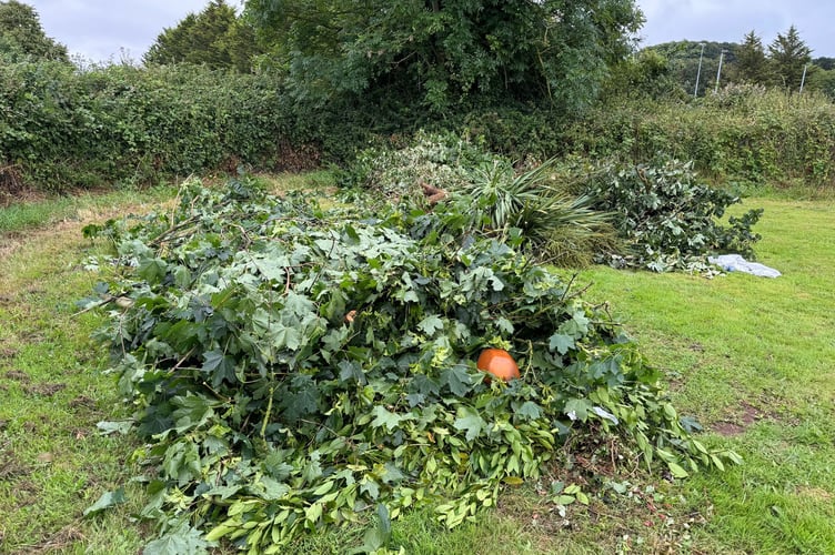 Large piles of garden waste have been tipped at The Rec. AQ 8050