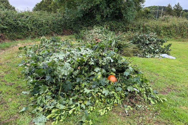 Large piles of garden waste were tipped at The Rec. AQ 8050