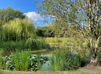 Open garden at Efford in aid of Hospiscare