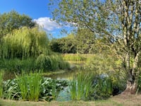 Open garden at Efford in aid of Hospiscare