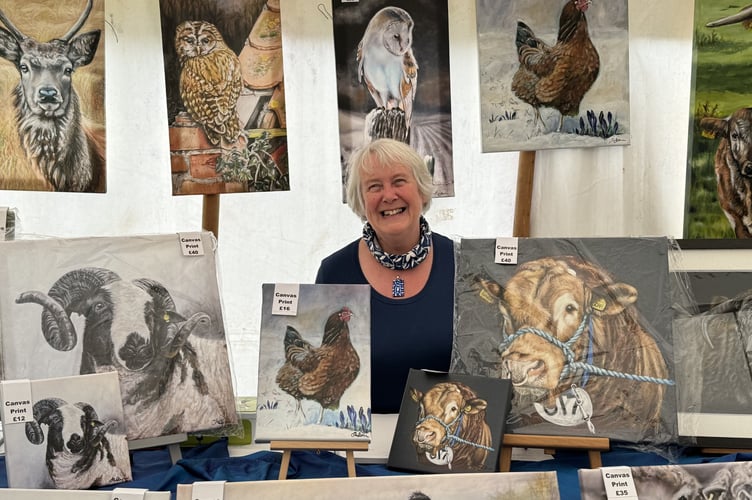 Animal artist Janet Jarvis from North Tawton had a great display of her art for sale at the Mid Devon Show. AQ 8519