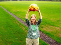 New football and baseball pitches underway in Exeter
