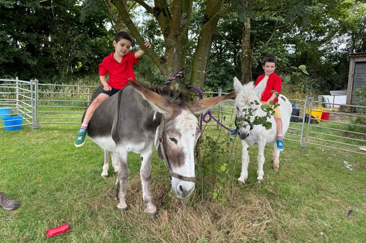 Youngsters could sit on a donkey at Morchard Bishop Vintage Rally and Family Fun Day. AQ 9034