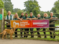 See horses at stud farm open day near Chulmleigh