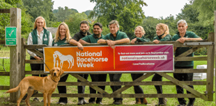 See horses at stud farm open day near Chulmleigh