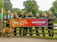 See horses at stud farm open day near Chulmleigh