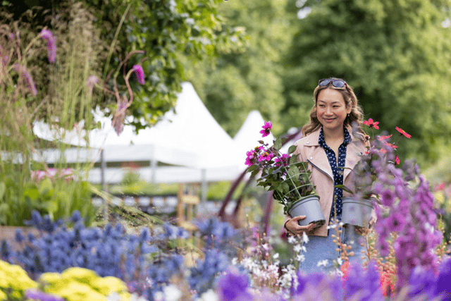 ‘Ultimate summer’s day out’ at RHS Garden Rosemoor Flower Show