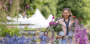 ‘Ultimate summer’s day out’ at RHS Garden Rosemoor Flower Show