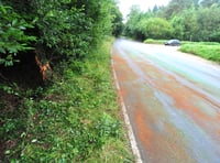 Two teenagers die on Devon road