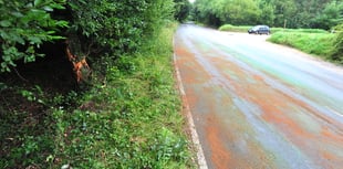 Two teenagers die on Devon road