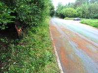 Two teenagers die on Devon road