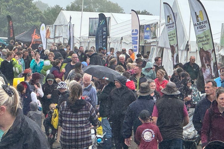 A crowded avenue at the Show. AQ 9403