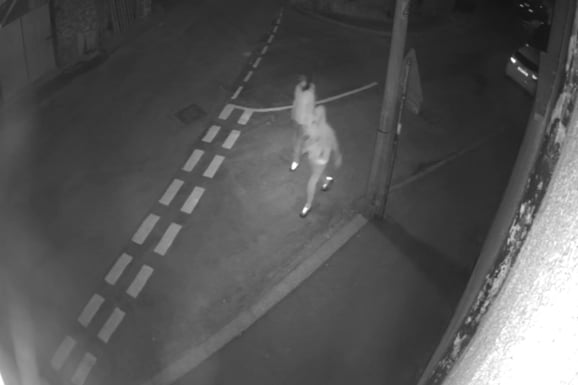 The people police would like to speak to regarding creeper burglaries at Witheridge.