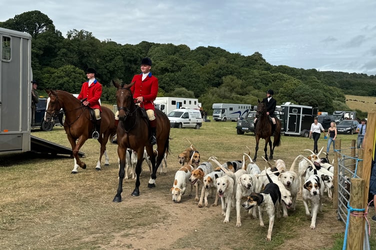 The Mid Devon Foxhounds about to enter the main ring at Chagford Show. AQ 0820